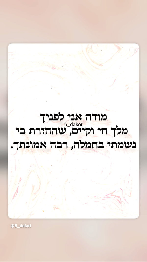 Archived image from @_noa_onn_ on Instagram