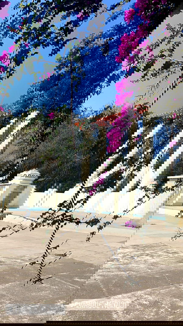 taylor.creeden taylor.creeden archive image