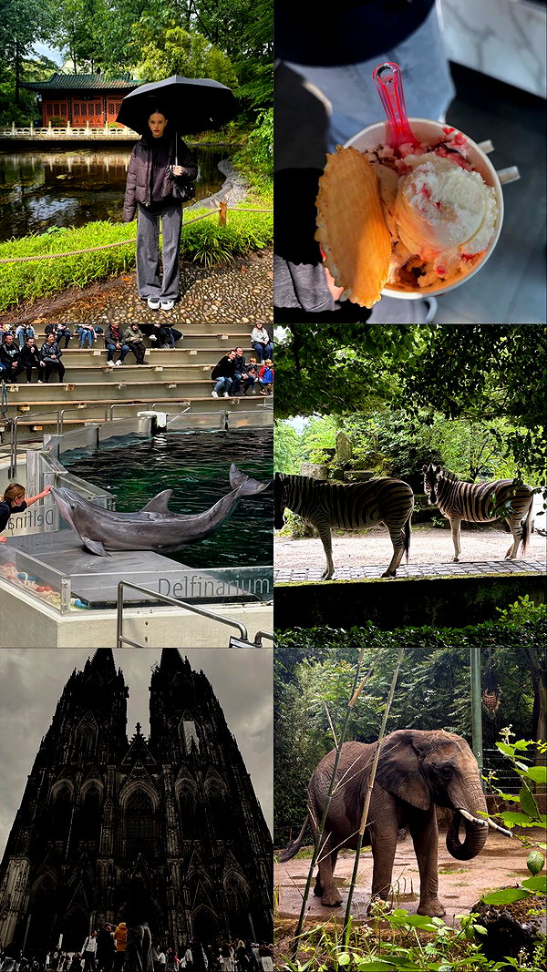 borkwsmh instagram image archive image