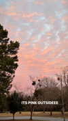 blossom_in_my_moonlight Altpins Profile Picture