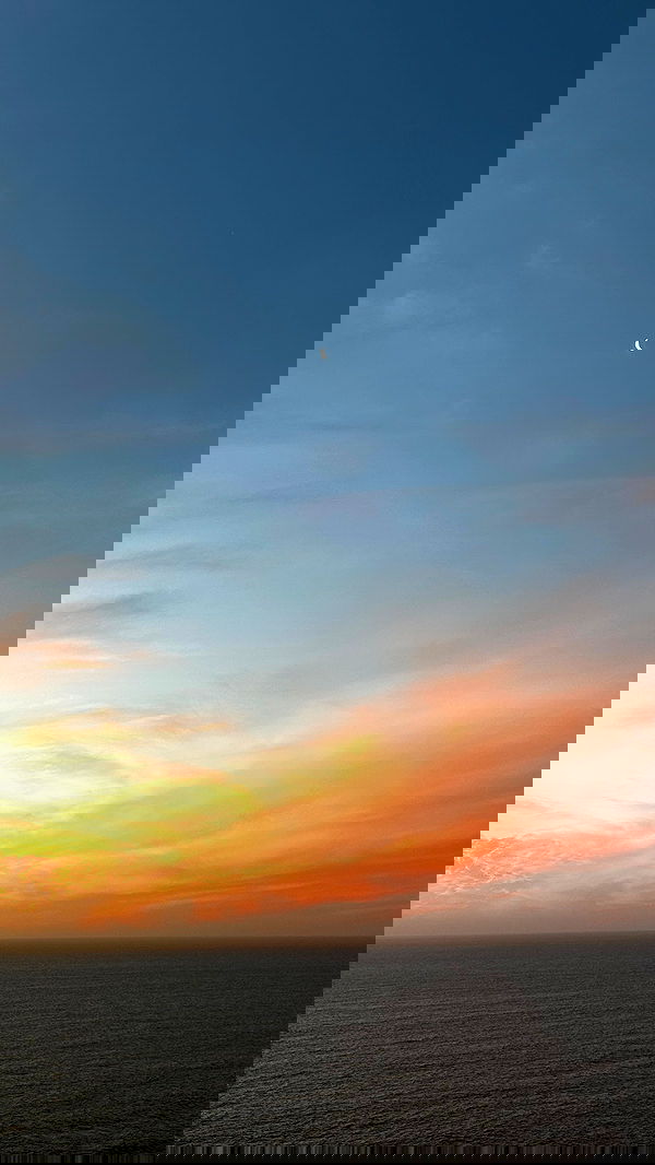 taylor.creeden taylor.creeden archive image