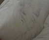noy.razz Altpins Profile Picture
