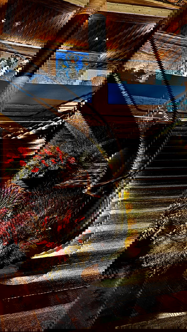 taylor.creeden taylor.creeden archive image