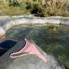 rouxroux.tv Altpins Profile Picture