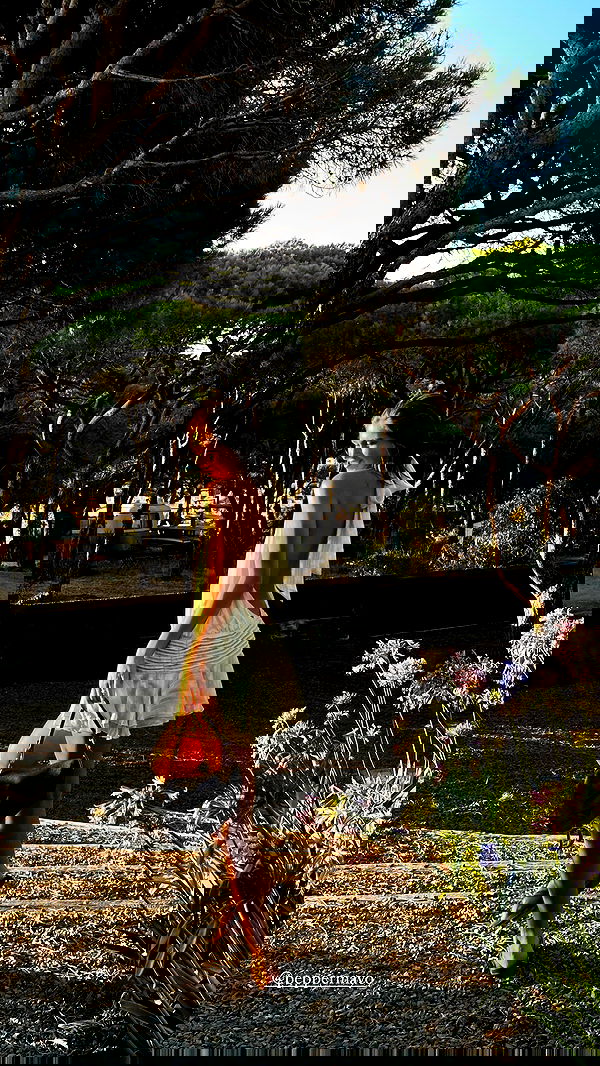 taylor.creeden taylor.creeden archive image