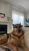 little.warren_ Altpins Profile Picture