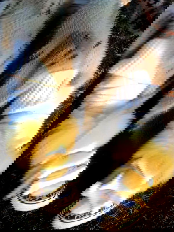 zommmbri zommmbri archive image