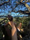 rouxroux.tv Altpins Profile Picture