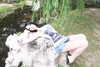 yanyluya Altpins Profile Picture