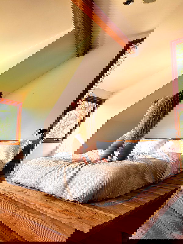 carolinezalog carolinezalog archive image