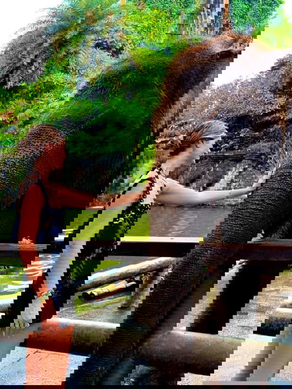 taylor.creeden taylor.creeden archive image