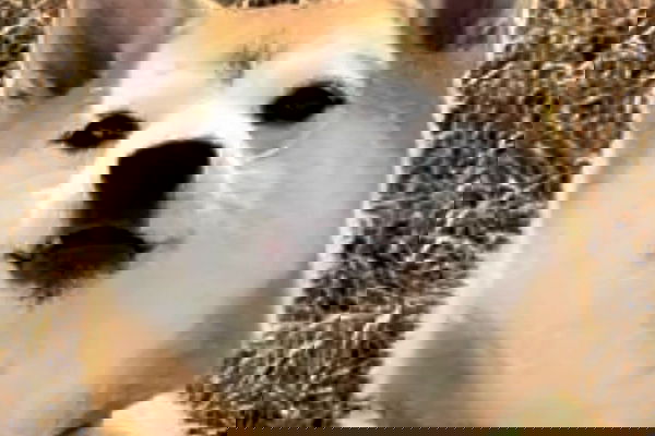 zommmbri zommmbri archive image