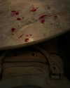 elizabethcampbelljones Altpins Profile Picture