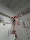 alishevs Altpins Profile Picture