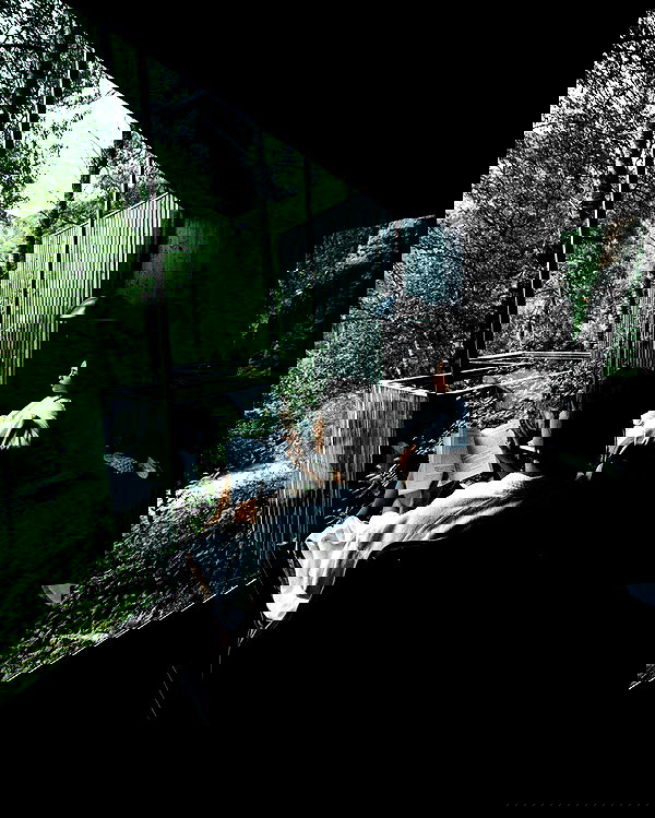 taylor.creeden taylor.creeden archive image