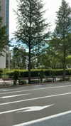 dante_yangpa Altpins Profile Picture