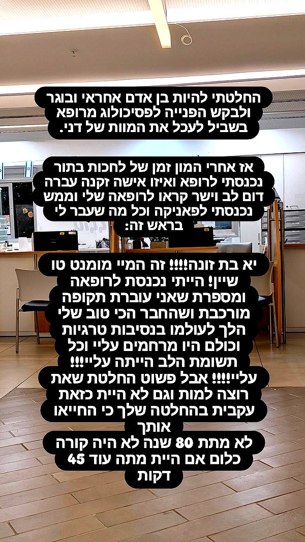 noy__erel noy__erel archive image