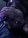 _m_a_y_c_ Altpins Profile Picture