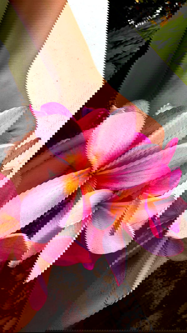 taylor.creeden taylor.creeden archive image