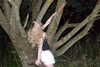 anasilesio Altpins Profile Picture