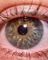 danielle.mercedie Altpins Profile Picture