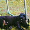_urbaneva Altpins Profile Picture