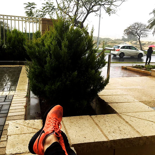 adihimelbloy instagram image archive image