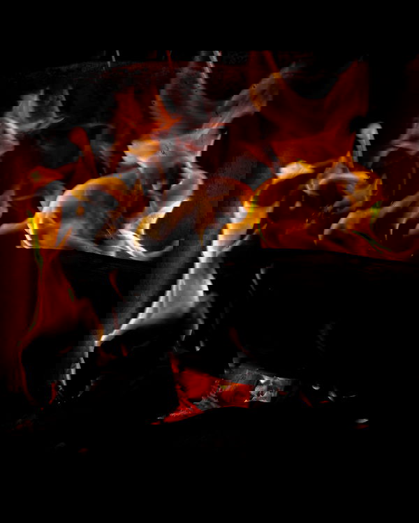 manjolamuriqi manjolamuriqi archive image