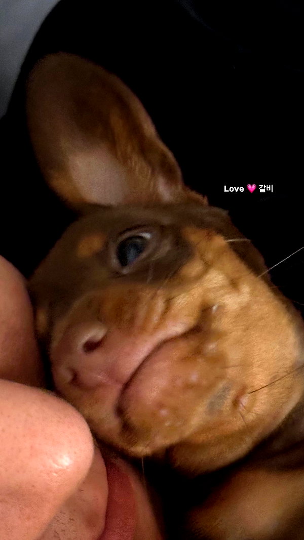 Archived image from @heroineseen on Instagram