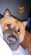 angelmeghann Altpins Profile Picture