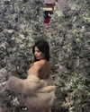 quenhi.phamm Altpins Profile Picture