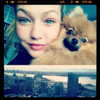 gigihadid Altpins Profile Picture