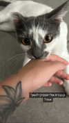 lera.genadenik Altpins Profile Picture