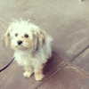 ashleybenson Altpins Profile Picture