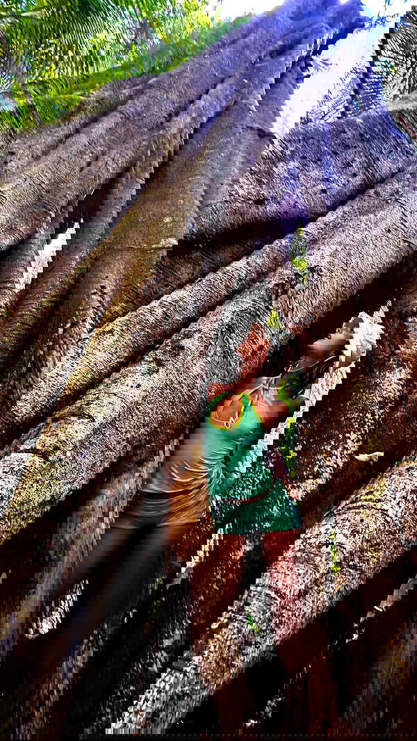 taylor.creeden taylor.creeden archive image