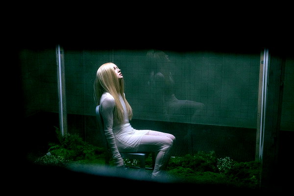impoppy instagram image archive image