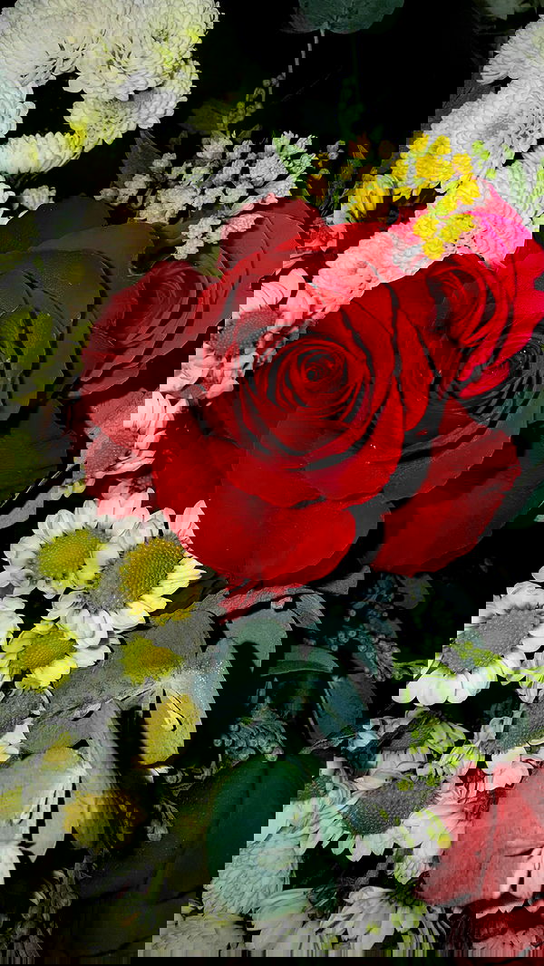 dustheadd dustheadd archive image