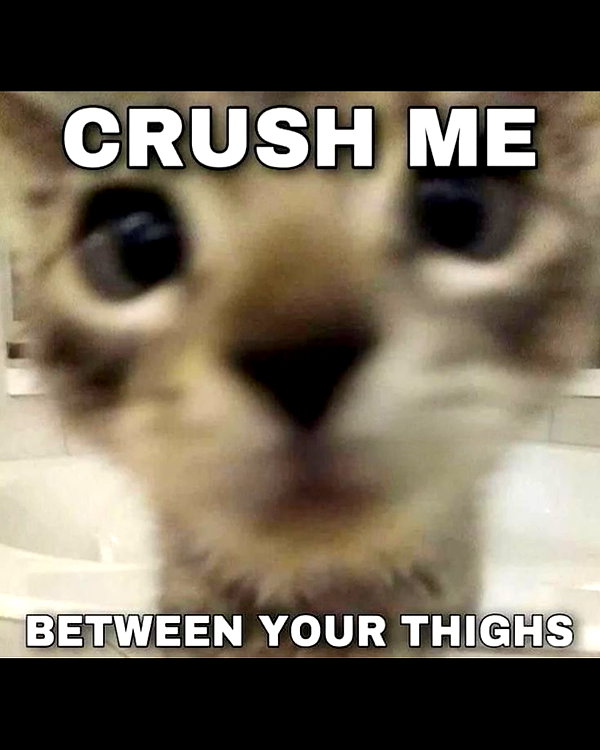 milkiwifey instagram image archive image