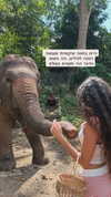 __yaheli_ Altpins Profile Picture