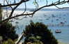daisy_r_19 Altpins Profile Picture