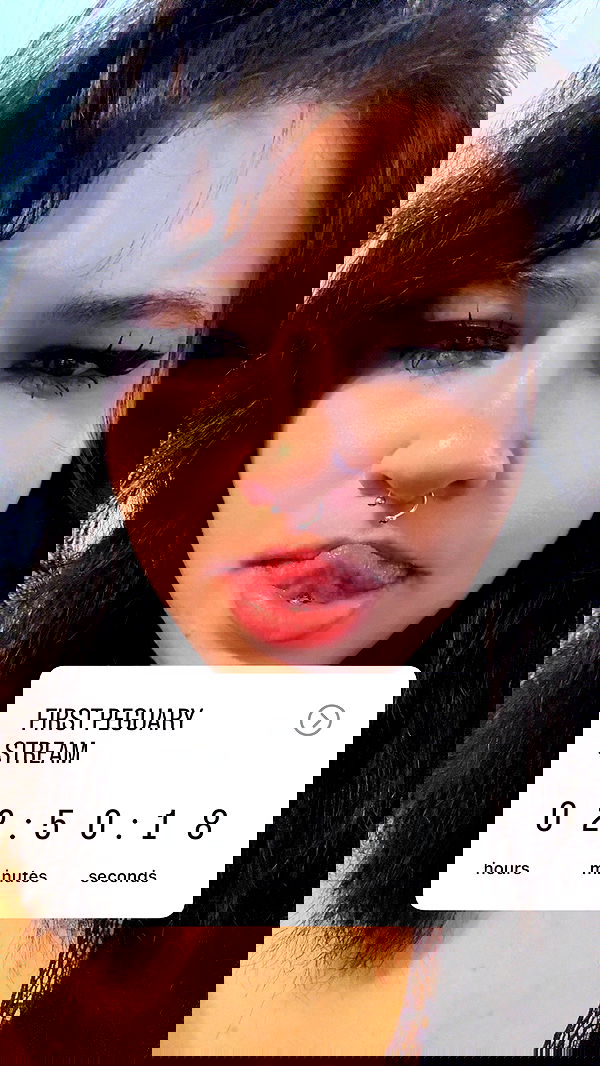 chibinekopurr chibinekopurr archive image