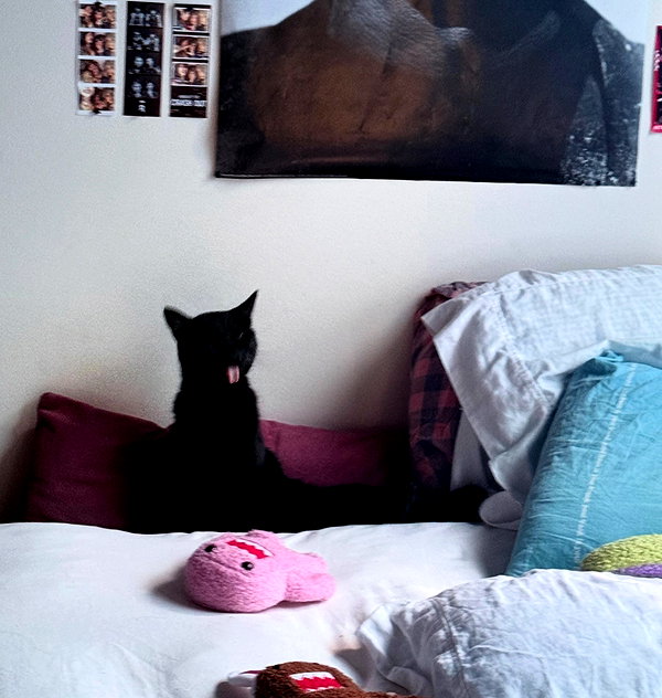 ibit3irl instagram image archive image