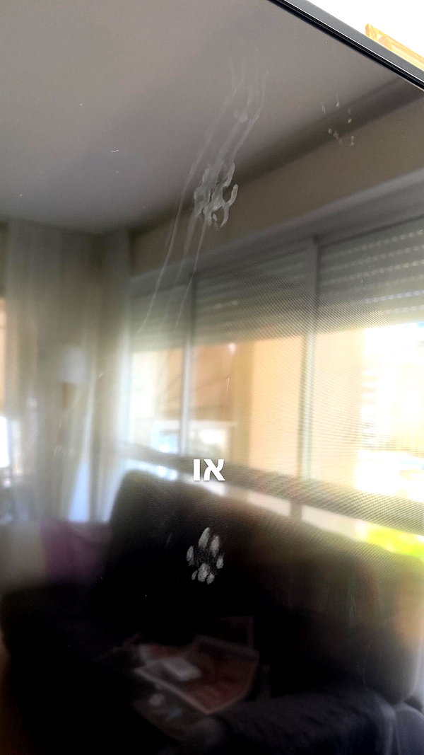 Archived image from @notchicore on Instagram