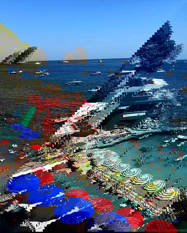 taylor.creeden taylor.creeden archive image