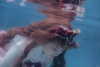 muze Altpins Profile Picture