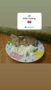 babynympho_archive Altpins Profile Picture