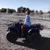 alishevs Altpins Profile Picture