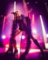 cannonstheband Altpins Profile Picture