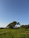 efrat_elmalich Altpins Profile Picture