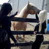 rchhhll Altpins Profile Picture